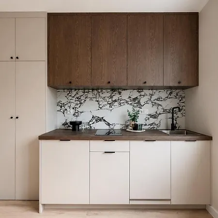 Kopcinskiego Appartement Łódź